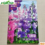 Larkspur Flower Seeds লার্কসপুর ফুলের বীজ 613