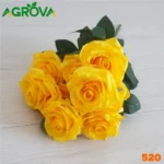 Yellow Color China Rose