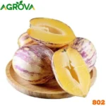 Pepino Melon Seeds পেপিনো মেলন