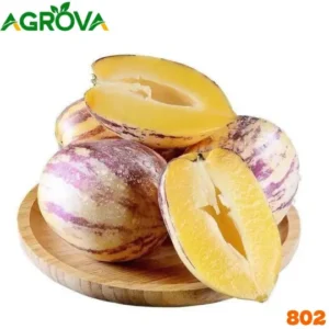 Pepino Melon Seeds পেপিনো মেলন