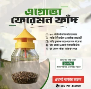 Agrova Pheromone Magic Trap এগ্রোভা ফেরোমন ম্যাজিক ফাঁদ‌