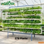 Agrova NFT Hydroponic System 276 Holes Hy-6009