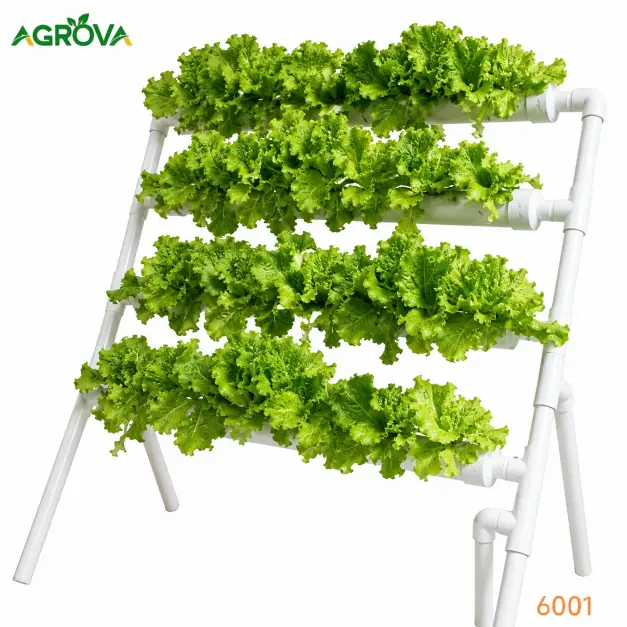 IMG_20260804_174537_571 Agrova NFT Hydroponic system 36 holes 4 rows Hy-6001 - Image 1