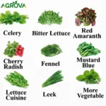 Agrova NFT Hydroponic system 36 holes 4 rows Hy-6001 - Image 6