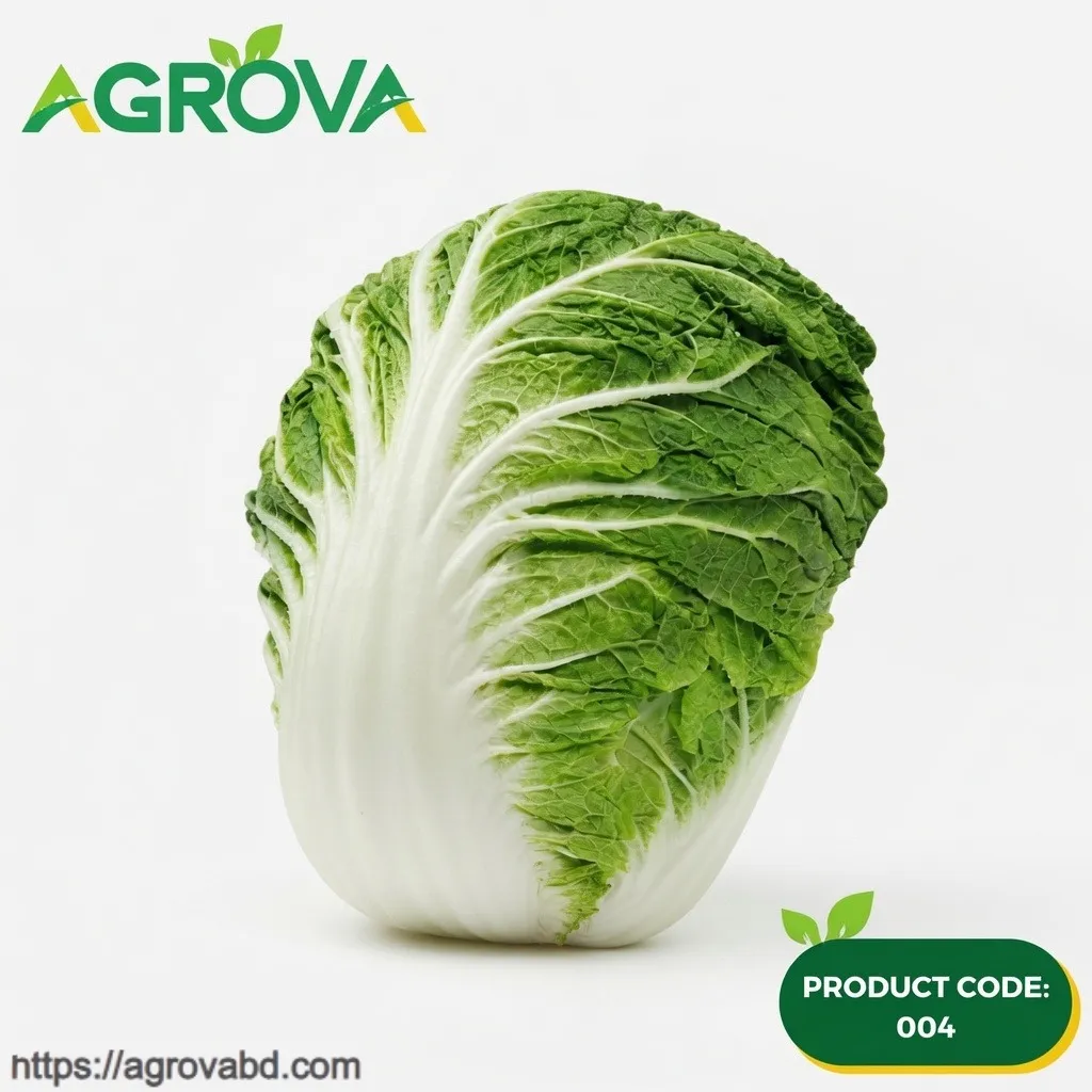 Chinese Cabbage Xia Yang Seeds