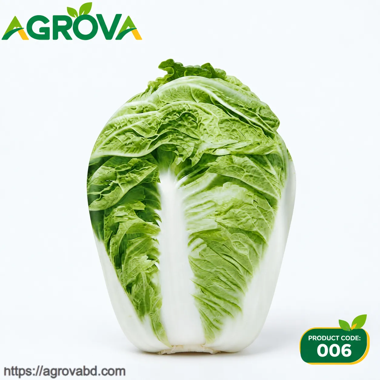 Chinese Cabbage Fengkang 90 Seeds