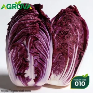 Purple Chinese Cabbage Seeds