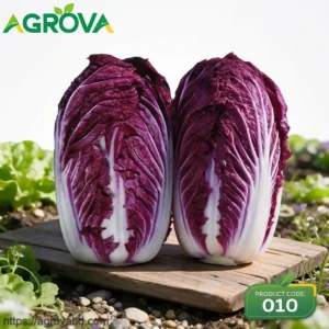 Purple Chinese Cabbage Seeds