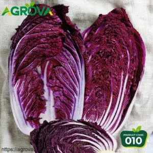 Purple Chinese Cabbage Seeds