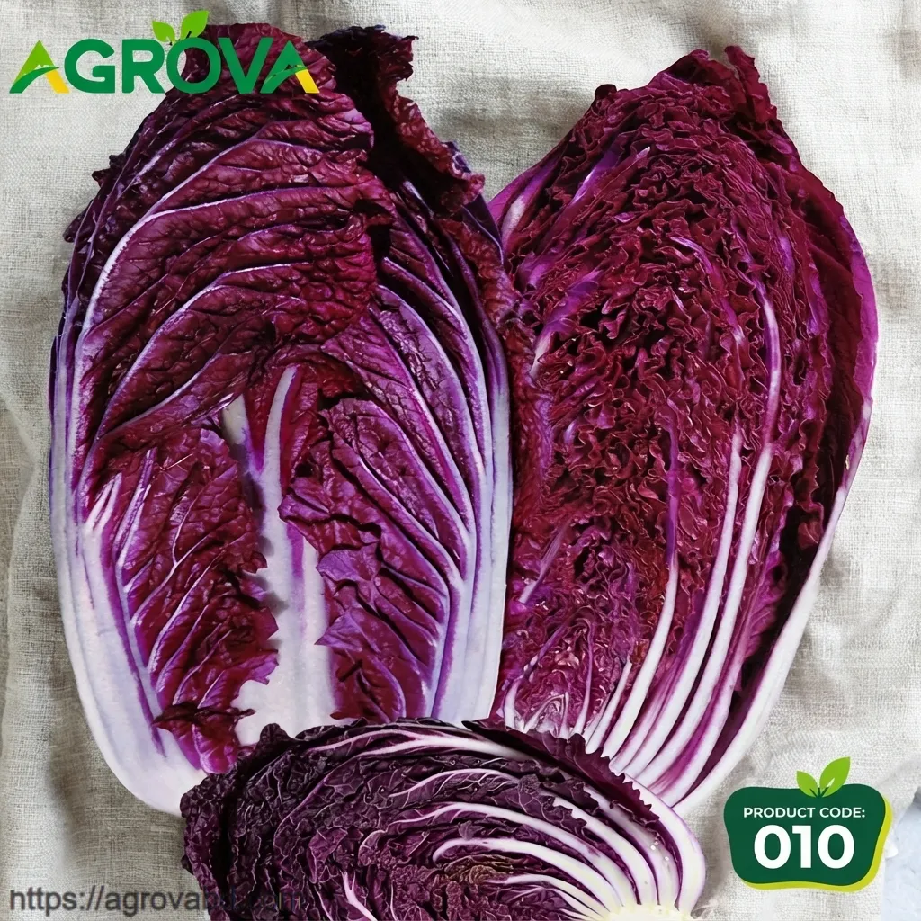 Purple Chinese Cabbage Seeds