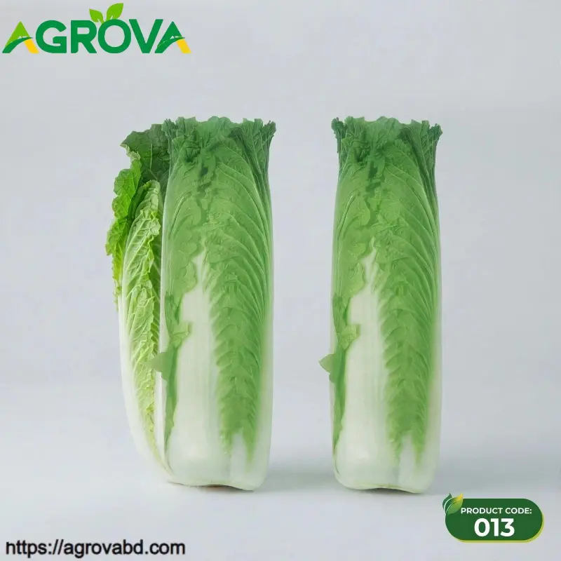 Chinese Cabbage New Jincai Seeds