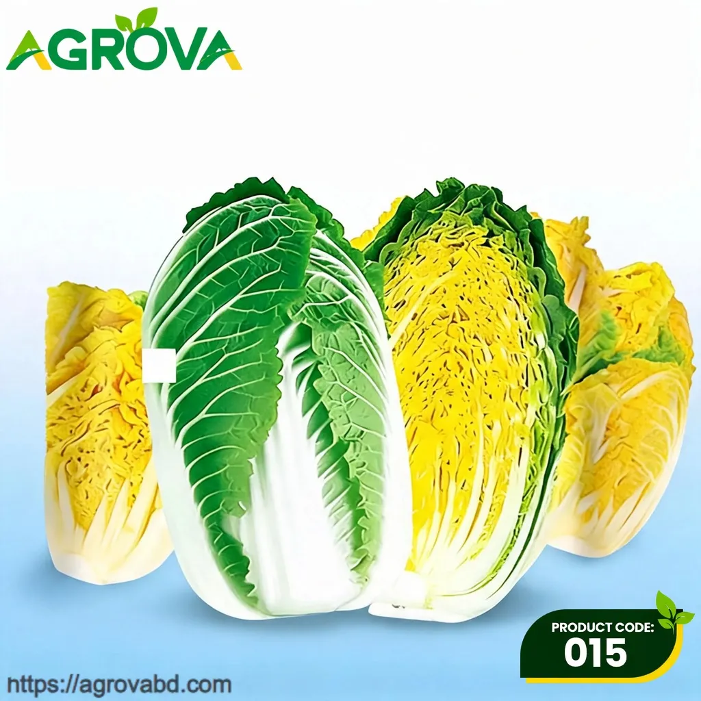 Chinese Crown Baby Cabbage