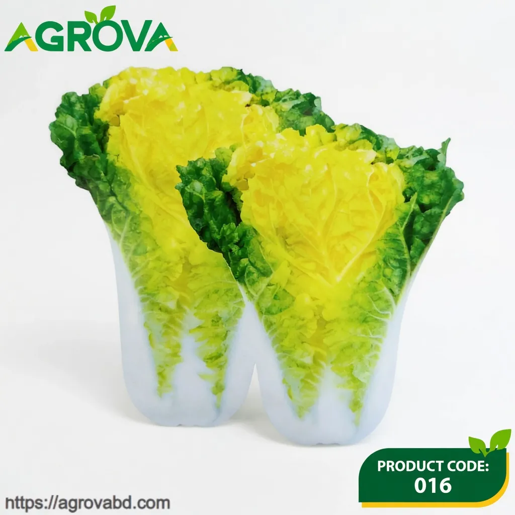 Chinese Beijing Xiaza Cabbage Seeds