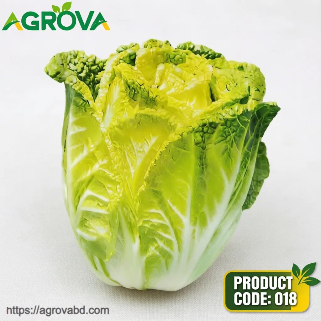 Chinese Fine Yellow Bud Seeds