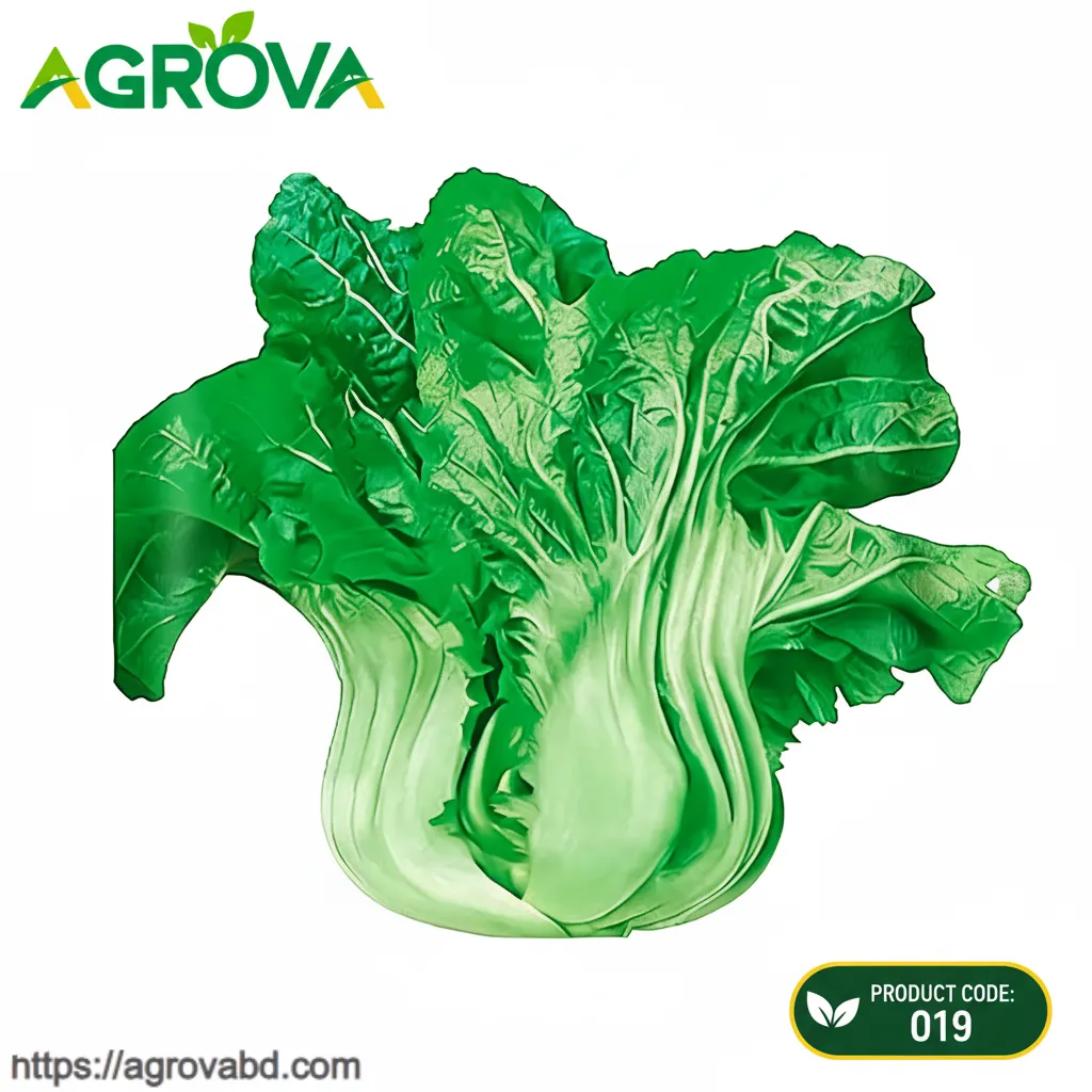Chinese Wide Stem Green Vegetable Seeds