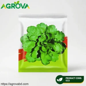Large Leaf Crown Daisy Lettuce Seeds