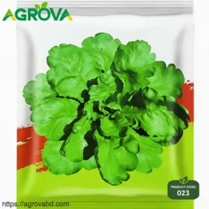 Large Leaf Crown Daisy Lettuce Seeds