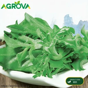 Ice Pasta Lettuce Seeds