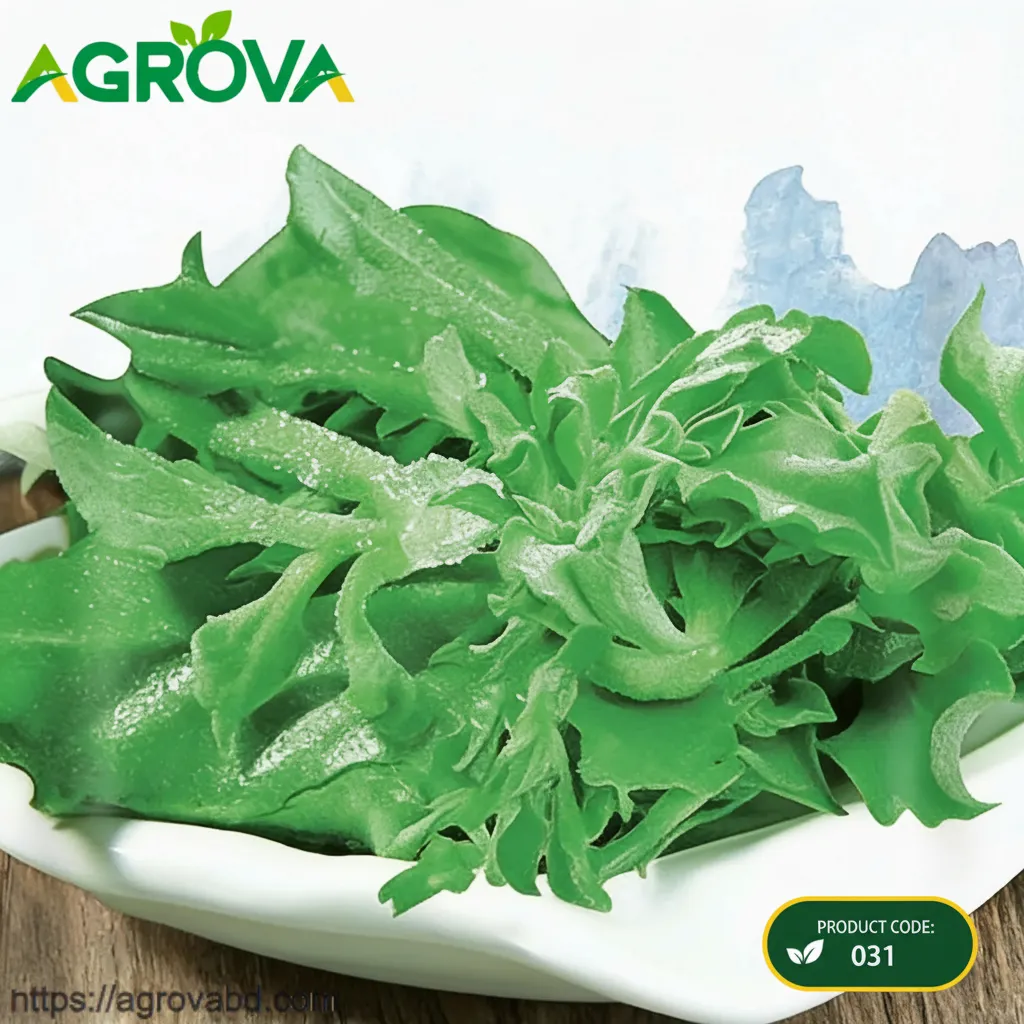 Ice Pasta Lettuce Seeds