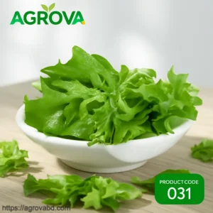 Ice Pasta Lettuce Seeds