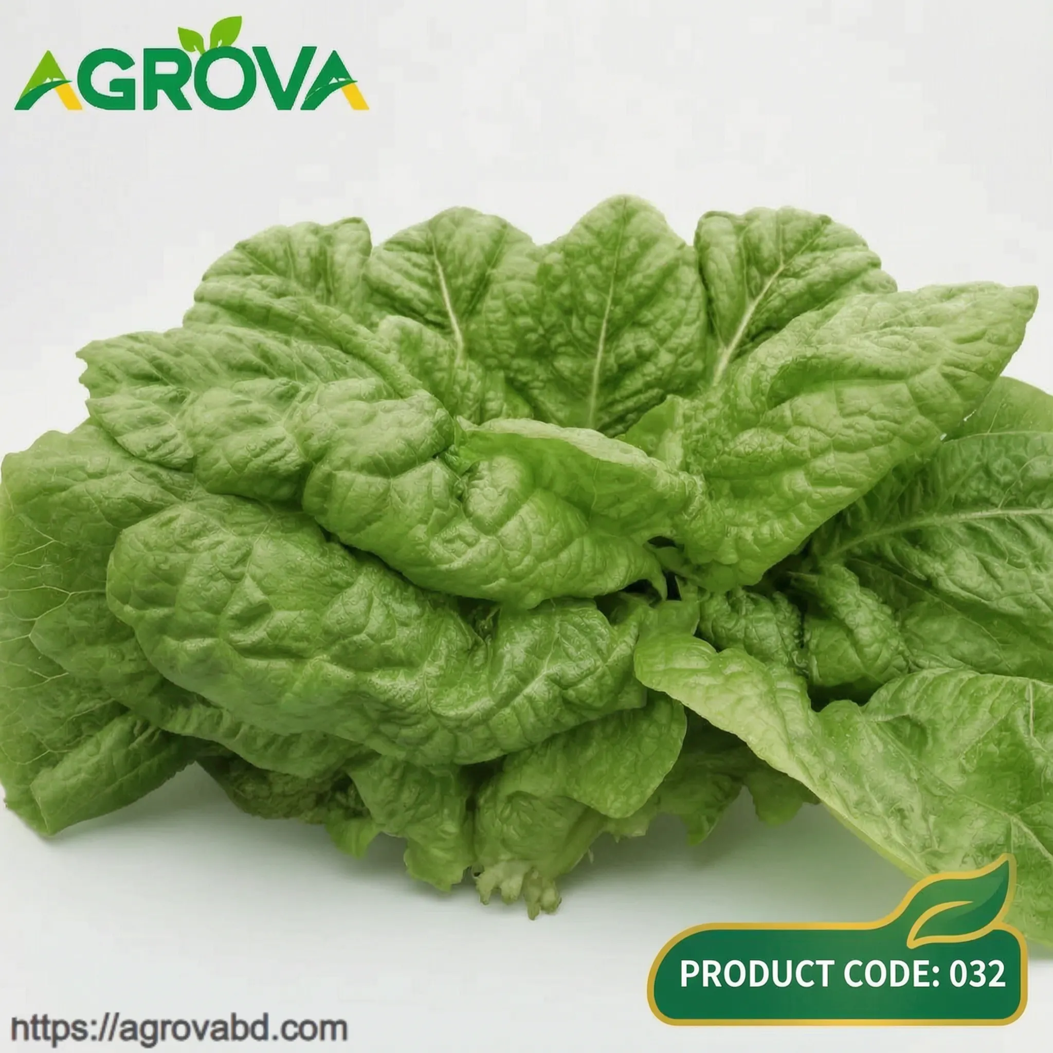 Leaf Lettuce Seeds