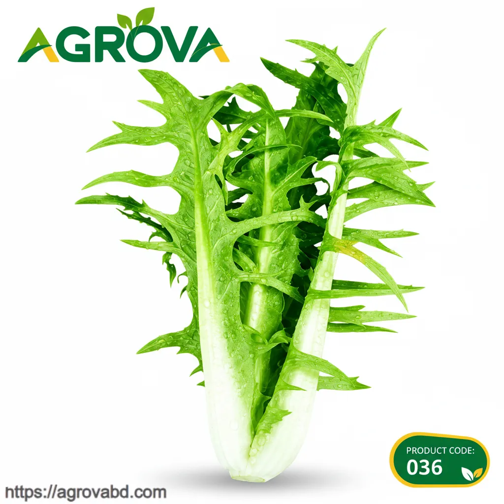 Bud Sweet Pakchoi Seeds