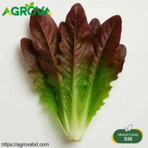 Red Tatsoi Seeds