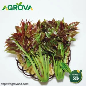 Perilla Vegetables Seeds