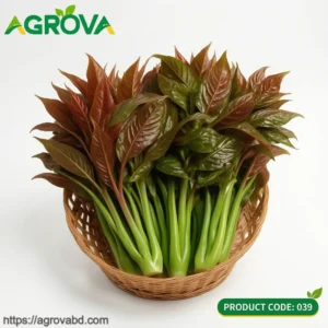 Perilla Vegetables Seeds