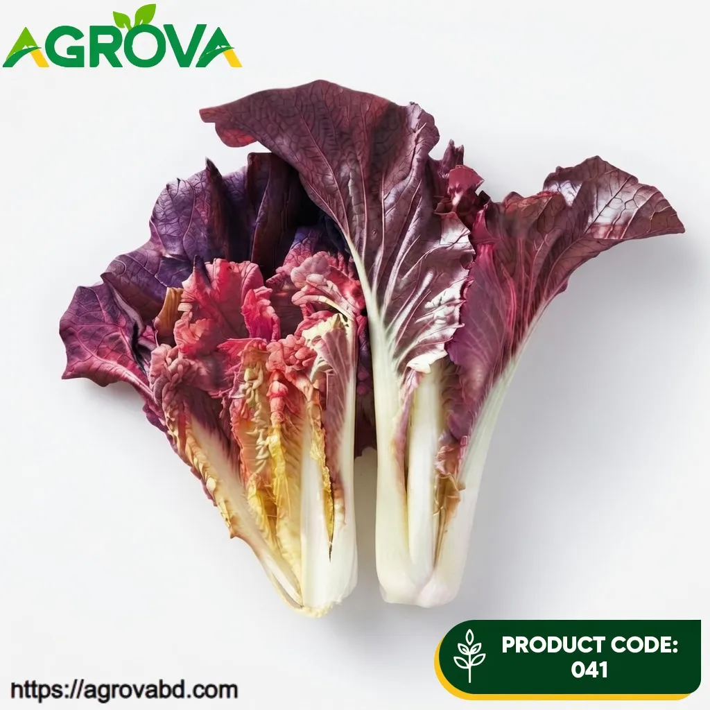 Cream Purple Fast Vegetable Seeds