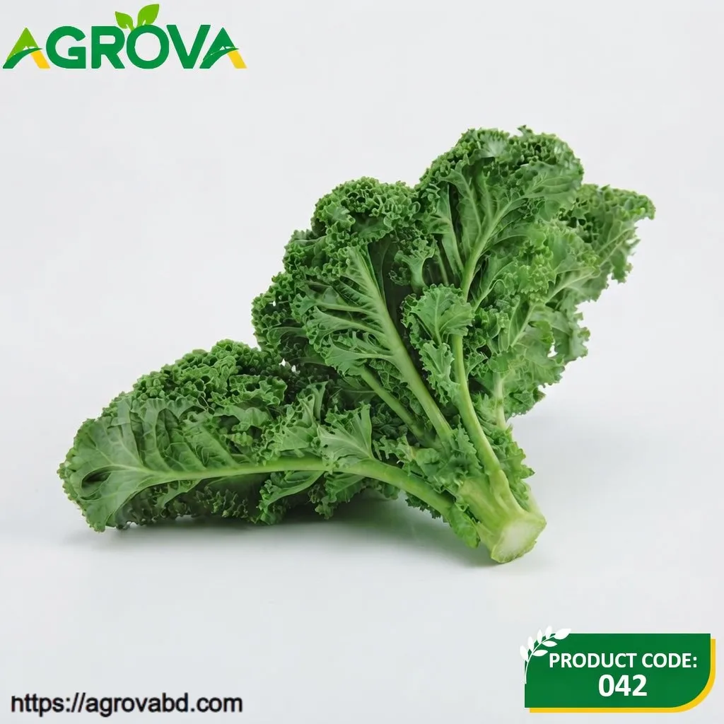 Ornamental Cabbage Vegetable Seeds