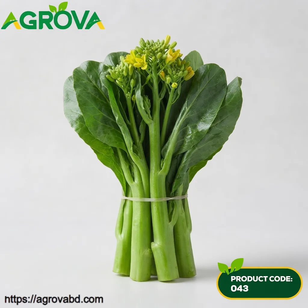 Cabbage Mustard Vegetable Seeds
