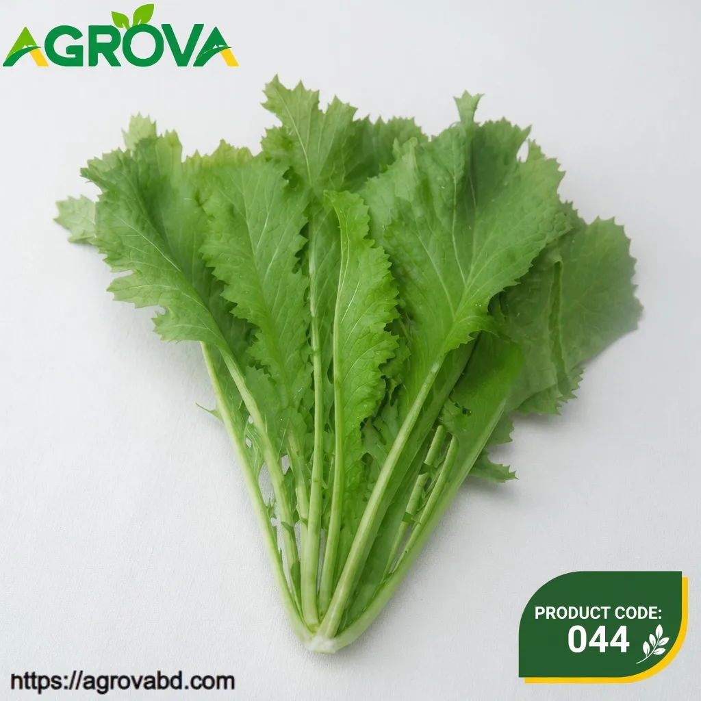 Jiutouniao Mustard Vegetable Seeds