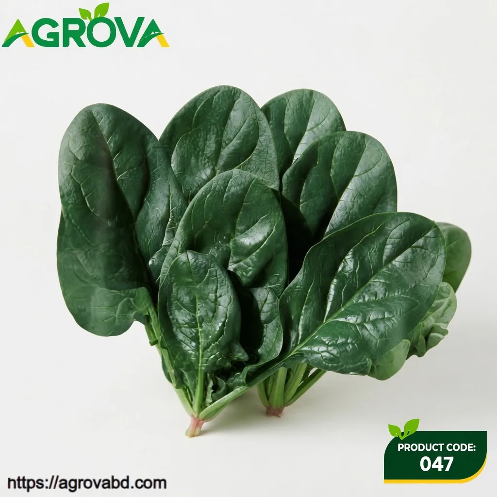 Spinach Vegetable Seeds