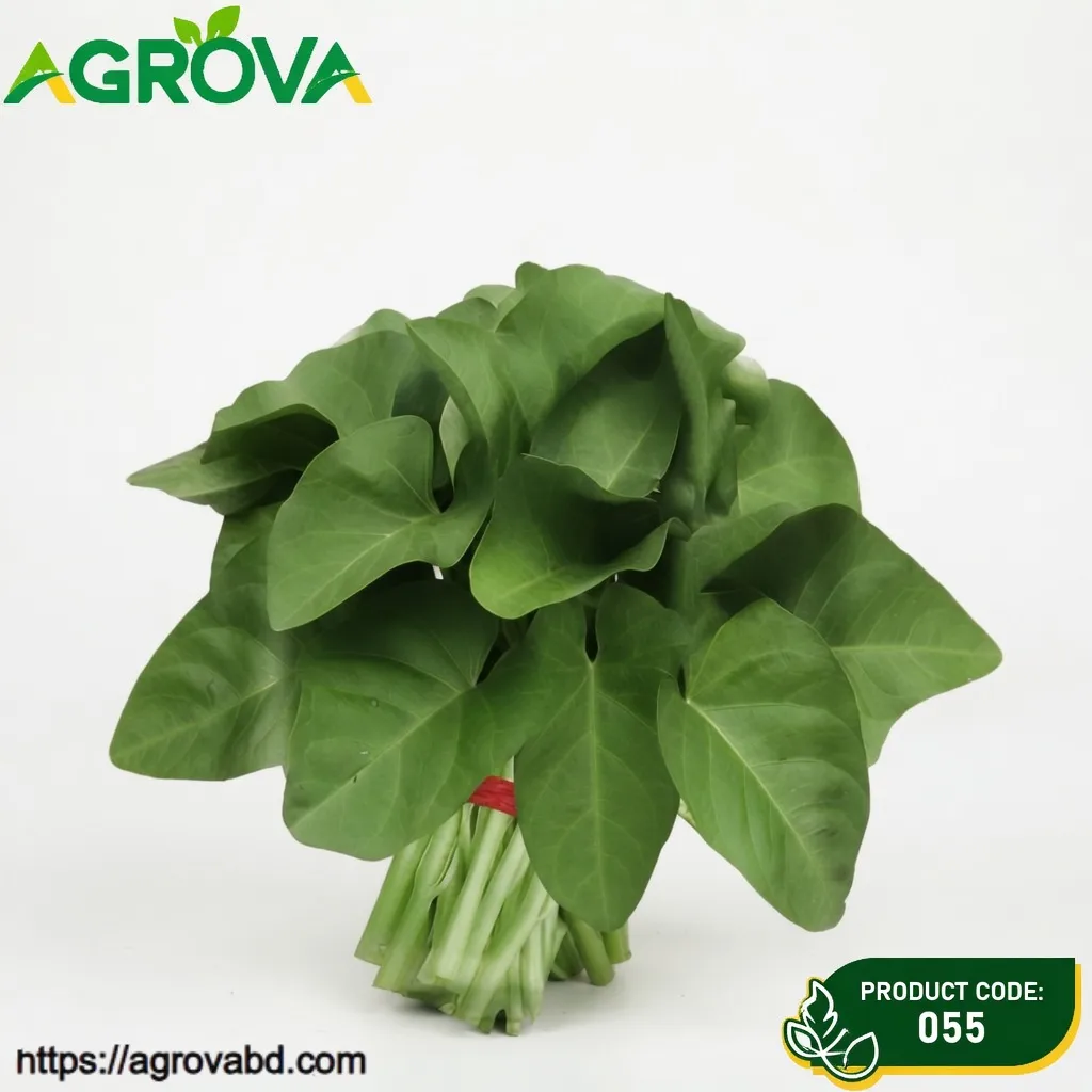 055 Large Leaf Water Spinach Seeds - Image 1