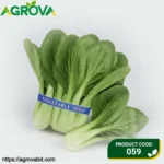 Chicken Feather Vegetable Seeds