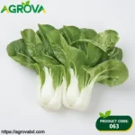 Milk Green White Princess Bok Choy Seeds