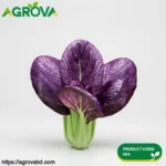 Purple Jade Rape Bok Choy Seeds