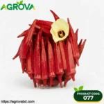 Red Okra Seeds