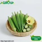 Green Okra Seeds