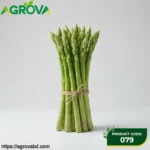 Asparagus Seeds