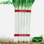 White Stalk Premium Japanese Bunching Onion Seeds