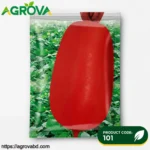 Big Red Robe Radish Seeds.