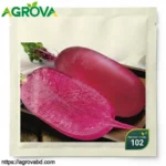 Pineapple Radish Seeds
