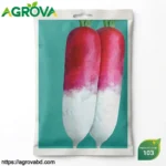 Cherry Half Body Red Radish Seeds.
