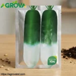 Half Body Dark Green Radish Seeds