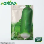 Inside and Outside Green Fruit Radish Seeds