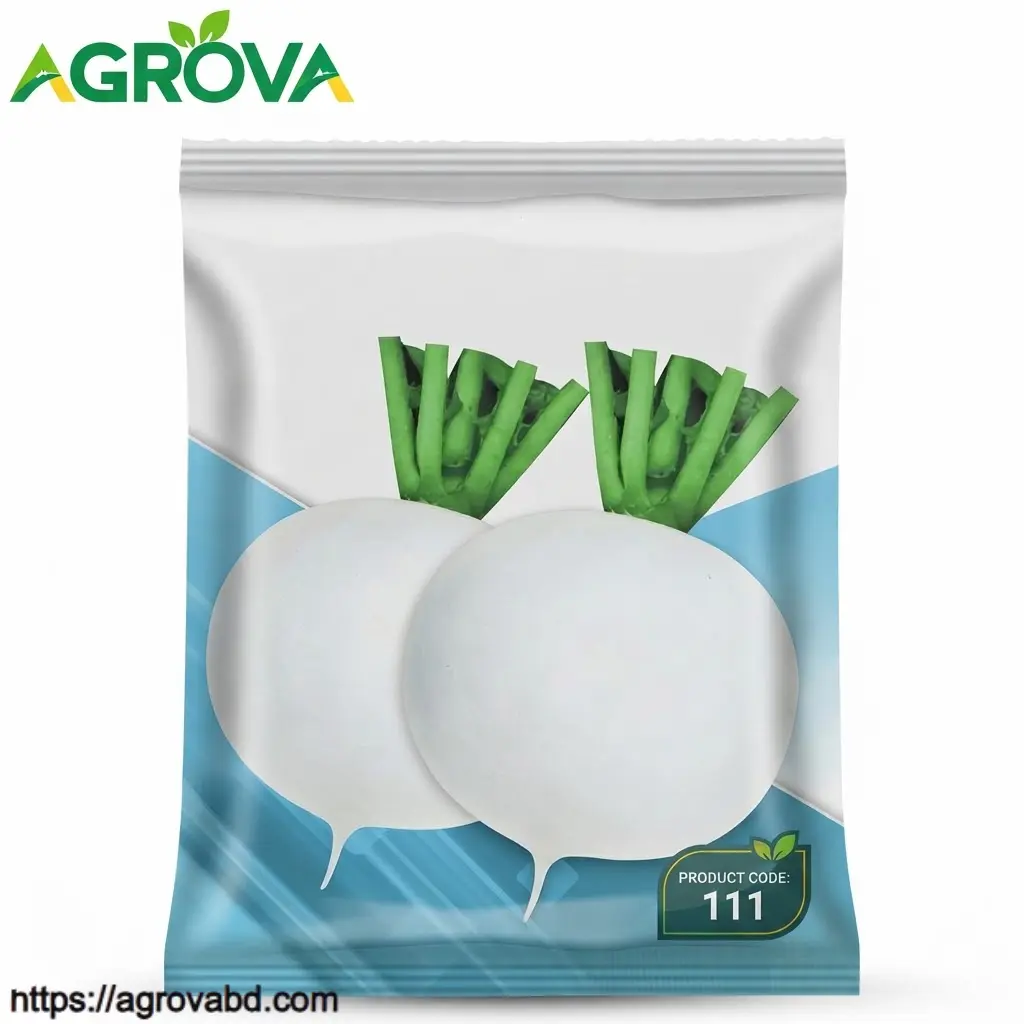 111 Round White Radish Seeds - Image 1