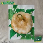 Muma Mountain Sweet Potato Seeds