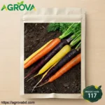 Multi Color Carrots Seeds